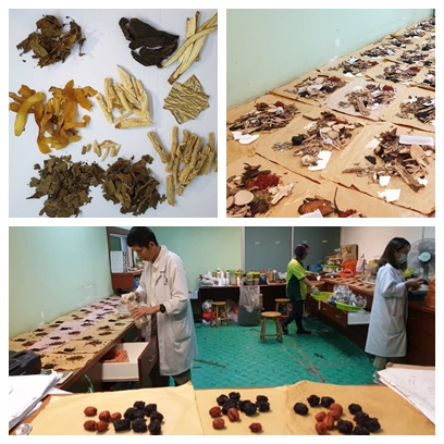 the best chinese herbal medicine